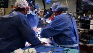 Human Heart Transplanted From A Pig By US Doctors