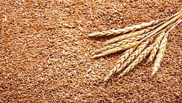 Wheat exports from India reach a new record high with 7.85 million tonnes in 2021-22