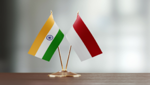 Indonesia Stands for Comprehensive Partnership With India