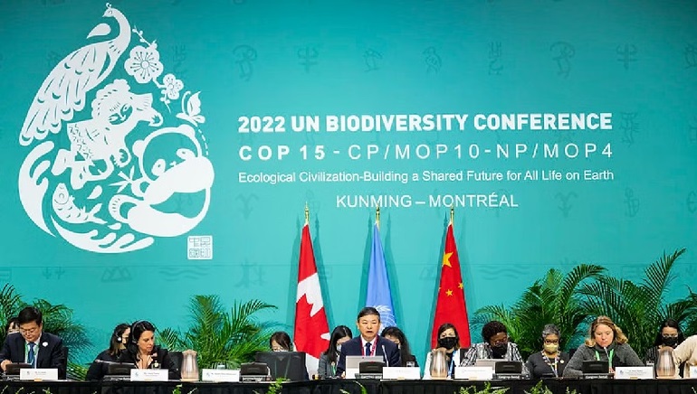 Nations Sign Historic Deal to Halt Biodiversity Loss by 2030 at COP15
