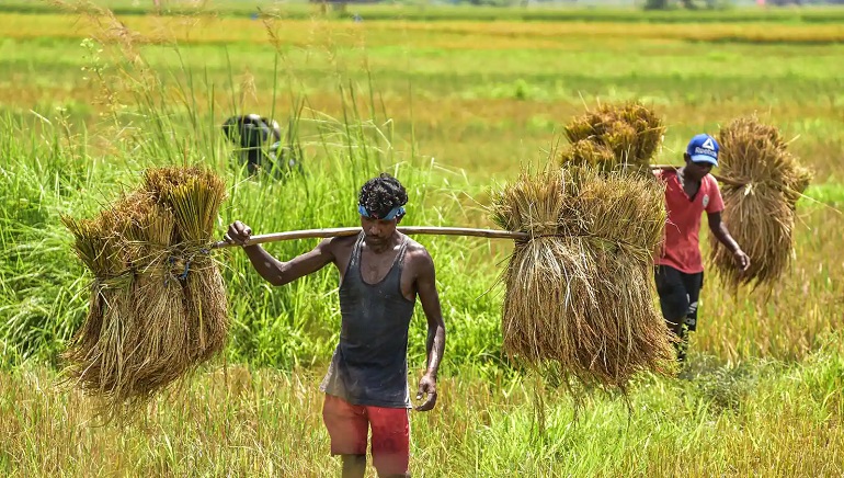 Rural India Creates 4.3 million Jobs in November