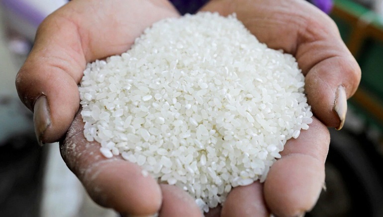 IMF Encourages India to Remove Export Restrictions from Non-basmati White Rice