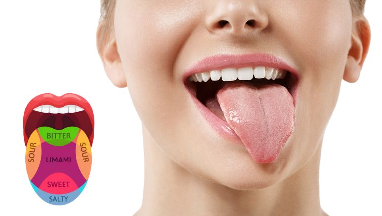 Sixth Basic Taste by Human Tongue Discovered