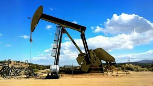 UAE’s Non-Oil Trade Hits Record $953 Bn In 2023