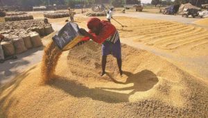 WTO MC13: G33 Calls For Permanent Solution For Food Security