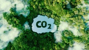 European Union Set To Recommend Deep C02 Cuts For 2040 Climate Target
