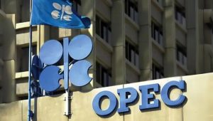 OPEC Supports Namibia As African Nation Prepares To Produce From 2030
