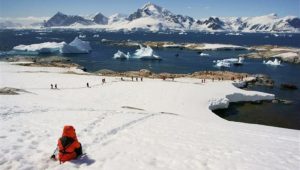 India In Talks With Like-Minded Countries To Regulate Tourism In Antarctica