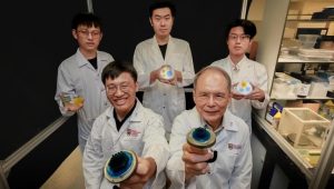 NTU Scientists Inspired By Snail Mucus And Gecko Feet To Create Strong Adhesive