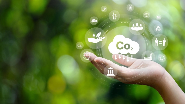 Indian Start-ups to Benefit from European Carbon Removal Expertise