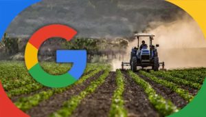 Google Launches ALU Research API for Indian Farmers