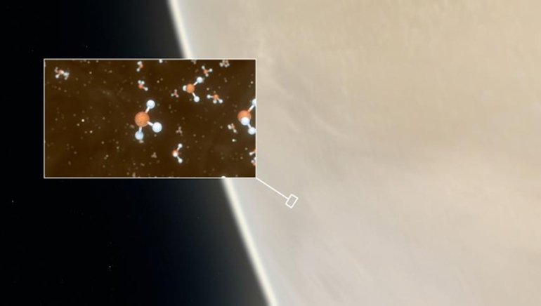 Scientists Find Potential Signs of Life in Venus’ Atmosphere