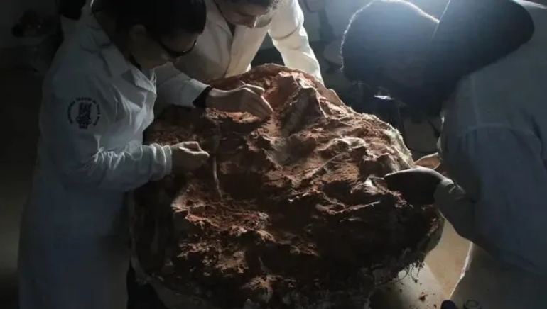 Ancient Dinosaur Fossil Unearthed by Heavy Rain in Brazil Could Rewrite History