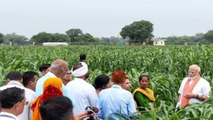 Government Approves Rs. 35,000 Crore for PM-AASHA Scheme to Secure Farmer Incomes