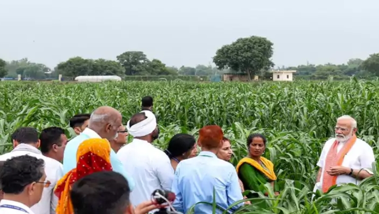 Government Approves Rs. 35,000 Crore for PM-AASHA Scheme to Secure Farmer Incomes