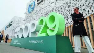 After 9 years of Debate, Global Carbon Trading Deal Finalised