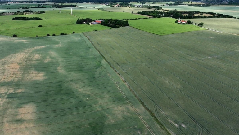 Denmark to convert 15% of farmland to forest to cut fertilizer use