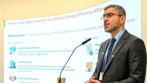 UAE Launches Global Energy Efficiency Alliance at COP29