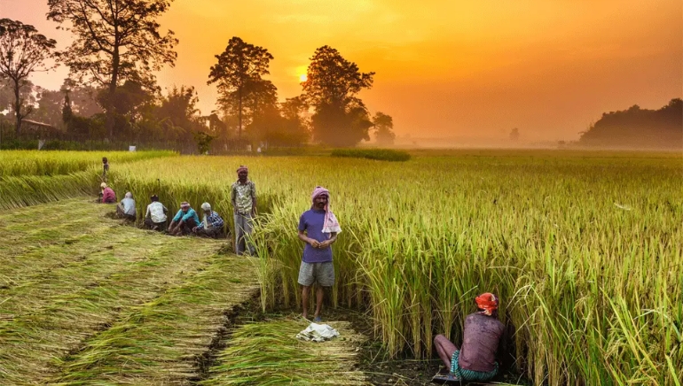 India’s Farm Budget to See 15% Hike, Largest Increase in Six Years