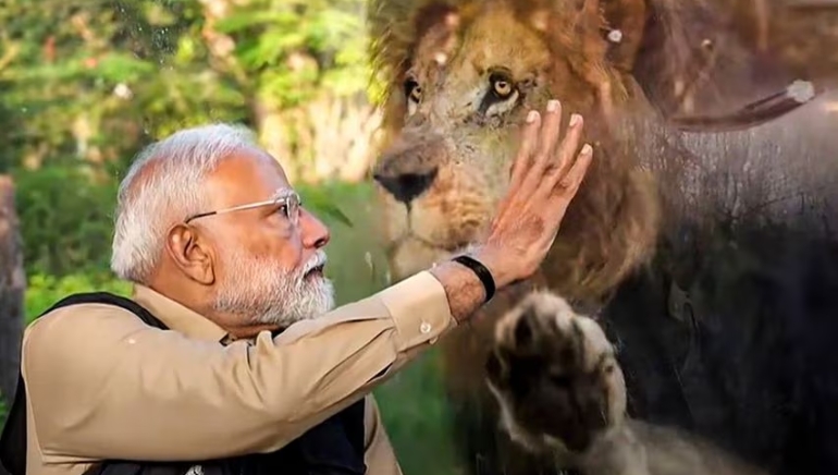 PM Modi Inaugurates Vantara, World’s Largest Wildlife Rescue Centre