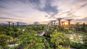 Singapore to Balance Urban Growth with Green Conservation