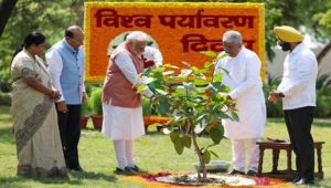 PM Modi Kicks Off Aravalli Green Wall Project to Combat Environmental Degradation
