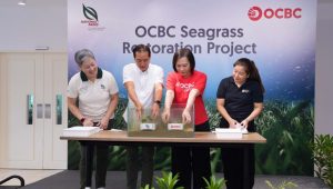 Singapore Launches First-Ever Seagrass Restoration Project to Safeguard Marine Ecosystems