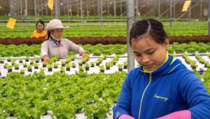 Malaysia Introduces AI Tools to Boost Agriculture