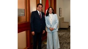 Piyush Goyal meets Canada’s top CEOs to deepen India investment push