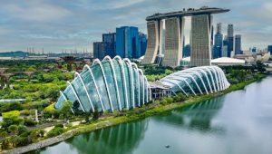 Singapore and World Bank Launch New Carbon Markets Programme to Scale High-Integrity Climate Finance