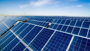 India edges past the US to become 2nd globally in solar capacity additions in 2025