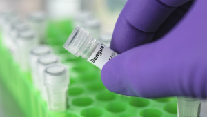 India Approves First Dengue Vaccine QDENGA