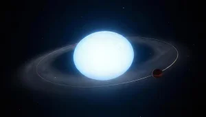 Indian Scientists Solve Decades Old Blue Straggler Star Mystery 