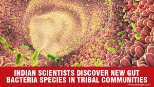 New Gut Bacteria Species Found in Indian Tribal Communities
