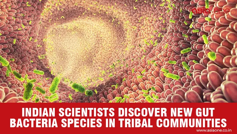 New Gut Bacteria Species Found in Indian Tribal Communities