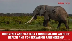 Indonesia and Vantara Launch Major Wildlife Health and Conservation Partnership