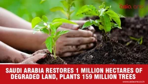Saudi Green Initiative Reaches Major Land Restoration and Tree-Planting Milestone