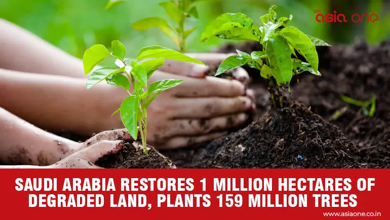 Saudi Green Initiative Reaches Major Land Restoration and Tree-Planting Milestone