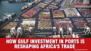 Gulf State Expands Regional Influence Through Ports and Resources