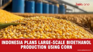 Indonesia Plans Large Scale Corn Based Bioethanol Production