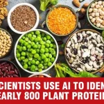 Nearly 800 Plant Proteins Identified by UK Scientists, Using AI