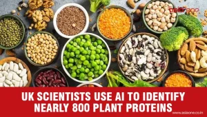 Nearly 800 Plant Proteins Identified by UK Scientists, Using AI