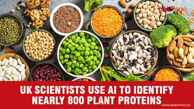 Nearly 800 Plant Proteins Identified by UK Scientists, Using AI