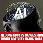 AI Model Reconstructs Images from Human Brain Activity Using fMRI
