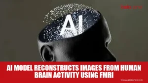 AI Model Reconstructs Images from Human Brain Activity Using fMRI