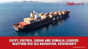 Egypt, Eritrea, Sudan and Somalia Strengthen Red Sea Coordination