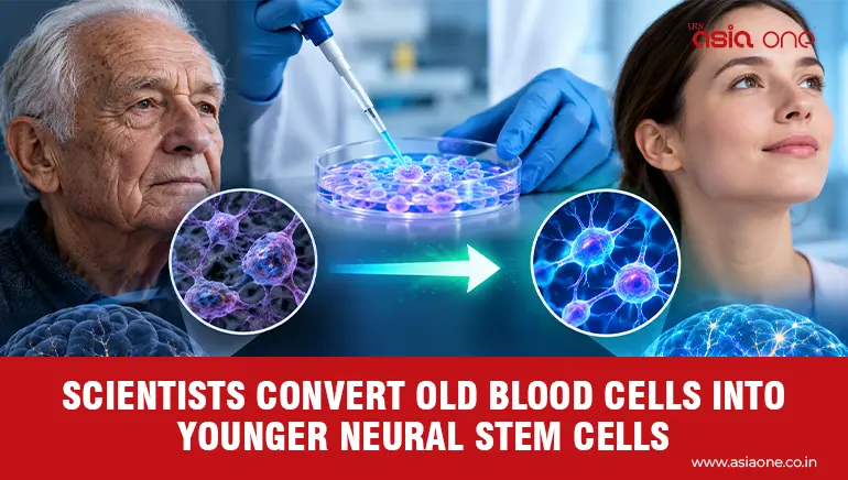 Scientists Rejuvenate 80-Year-Old Donor’s Neural Stem Cells
