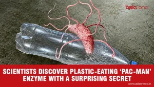 Scientists Discover Plastic Eating Pac-Man Enzyme with a Surprising Secret