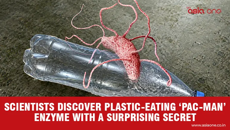 Scientists Discover Plastic Eating Pac-Man Enzyme with a Surprising Secret